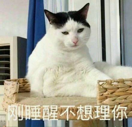 起床脸表情包合集
