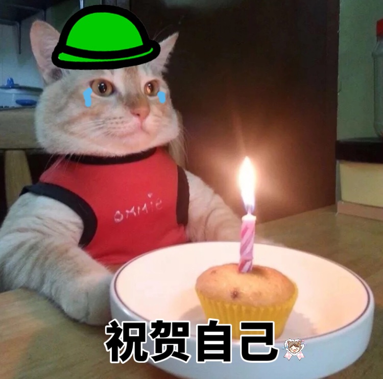 猫咪独自过生日表情包来啦