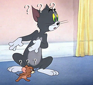 问号汤姆猫表情包专场来啦！