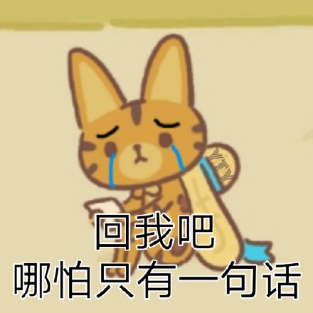 动物餐厅专属表情包合集来啦
