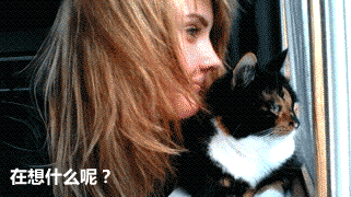 男生速存！女朋友来姨妈时的专属表情包