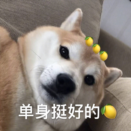 单身狗配Doge的表情包合集来了