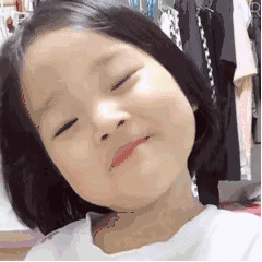 软萌治愈！权律二超可爱动图合集