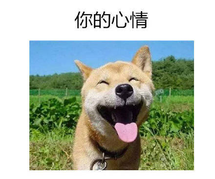 这些好事，快存进你的聊天表情包里