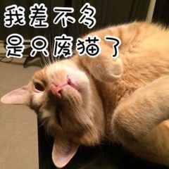 打工人摸鱼必备！