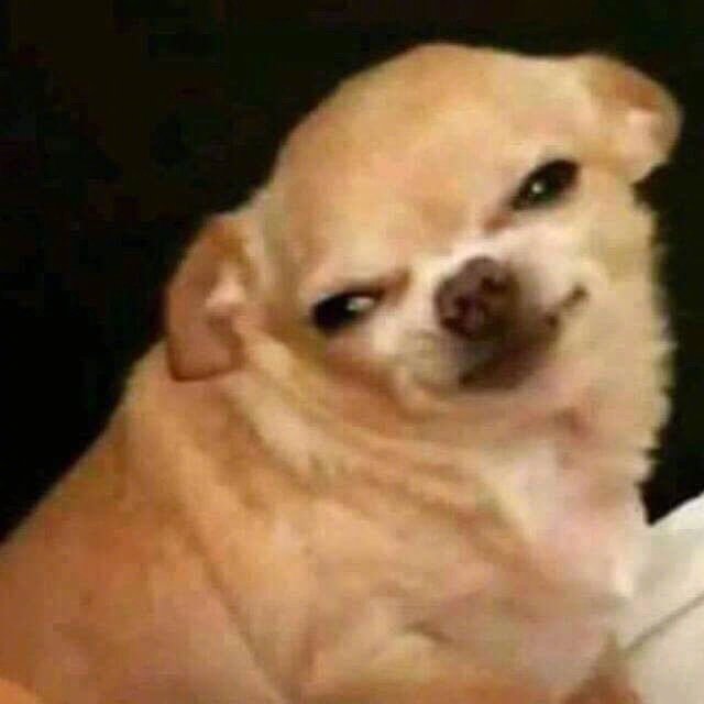 这波狗子表情包太魔性了！