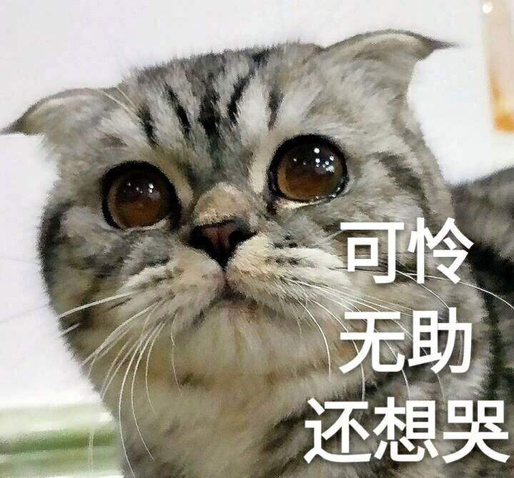 现实被骂vs网上被骂，这反差感太真实了