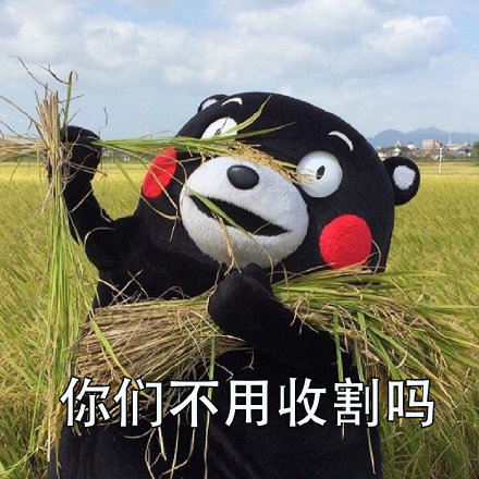 打工人专属吐槽表情包合集！你是不是也想问“你们不用干活吗？”