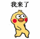 超实用小黄鸡路过表情包合集