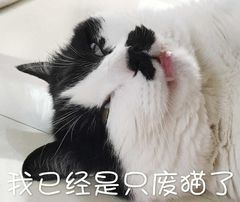 打工人摸鱼必备！