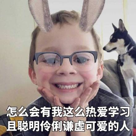 假笑男孩Gavin专属学习表情包上新啦