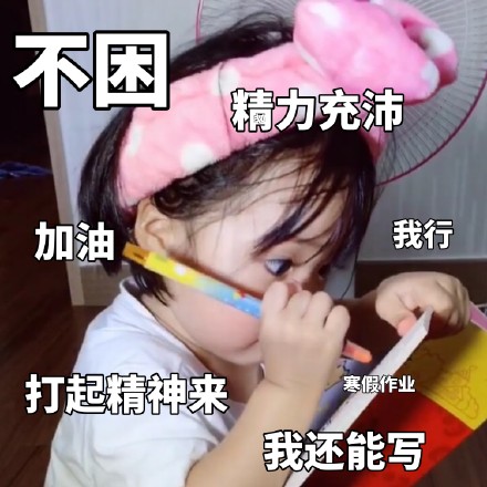 权律二寒假作业表情包来啦，学生党斗图必备