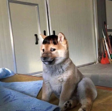 「将头发梳成大人模样」情侣头像来啦