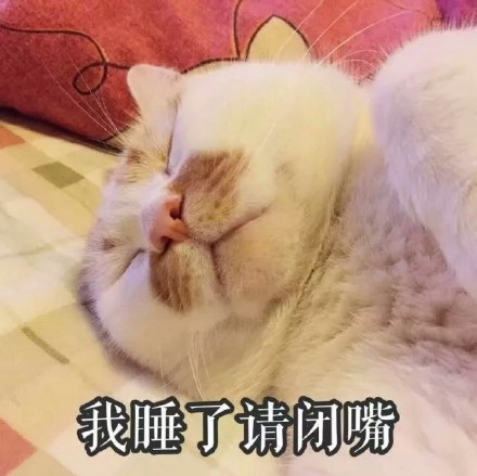 猫咪表情包第五弹来啦！