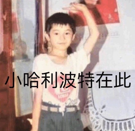 黄晓明明言明语表情包合集