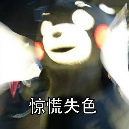 刷到同学都谈恋爱结婚了？这套熊本熊表情包太懂这种心情了
