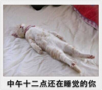 春节专属表情包来啦！精准戳中你的假期日常