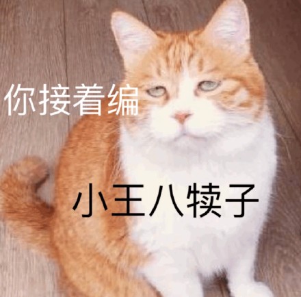 超实用橘猫聊天表情包合集