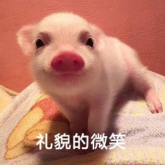 猪猪表情包合集来啦 日常斗图用得上