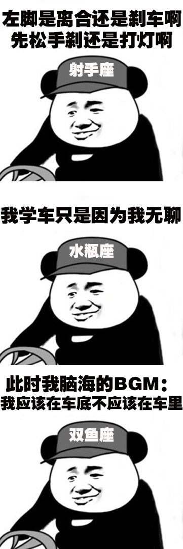 12星座学驾照表情包太真实了！白羊座心疼学费、金牛座纠结到不行
