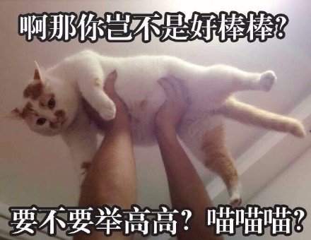 快收好这套永远楼楼表情包