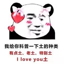 用熊猫头土味情话表情包，撩得人招架不住