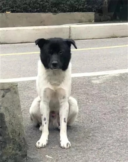 看一眼就笑喷！这些修勾长在笑点上了