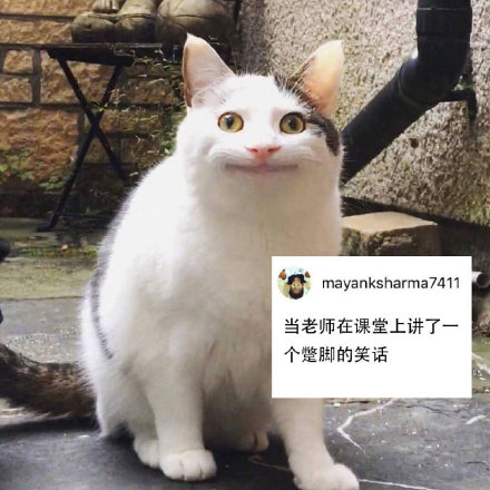 社恐狂喜！这套尬笑猫咪表情包精准戳中日常社死瞬间