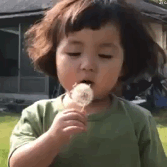 罗熙吹蒲公英的动图表情包来啦