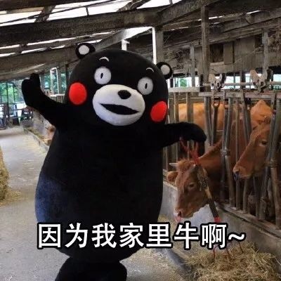 打工人破防了？这套表情包替你说出“不用上班”的爽感