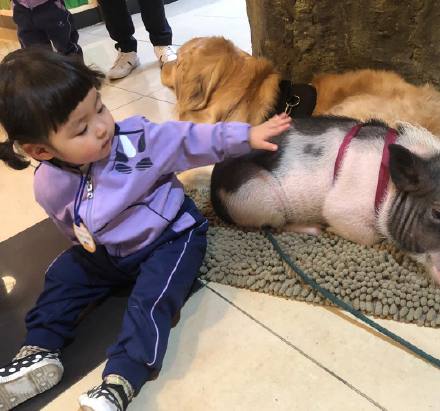 圆滚滚超可爱！罗熙最新日常照片来啦