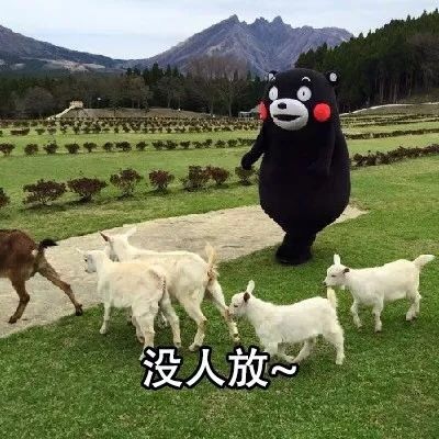 打工人破防了？这套表情包替你说出“不用上班”的爽感