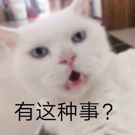 救命！这组猫咪表情包也太会演了吧
