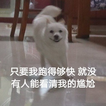 汪星人奔跑表情包合集来了