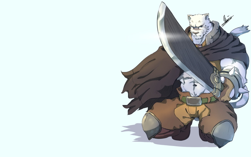 《零之魔法书》佣兵角色1080P高清壁纸