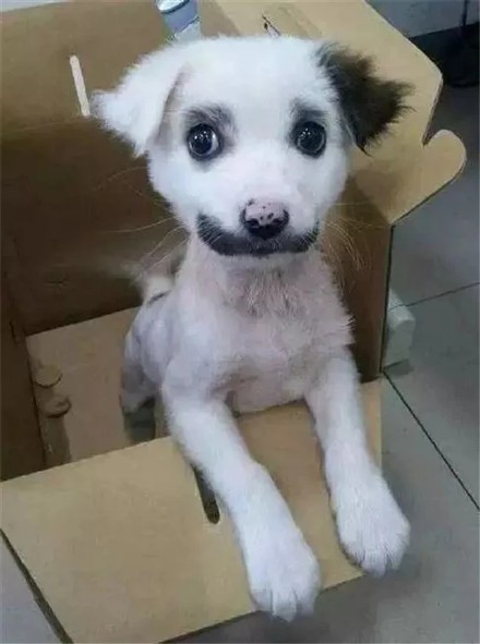 看一眼就笑喷！这些修勾长在笑点上了