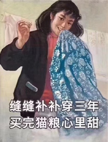 猫咪铲屎官专属表情包来啦