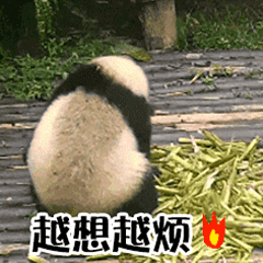 大熊猫滚滚表情包合集来啦