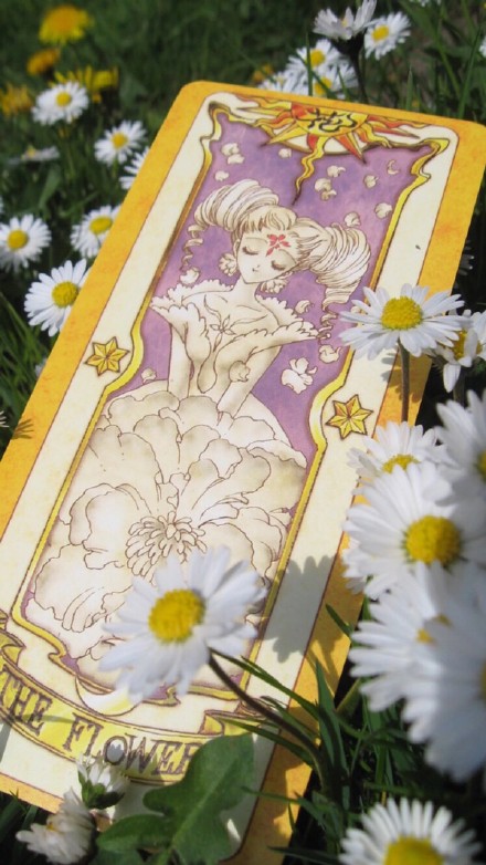 魔卡少女樱党集合！这组壁纸直接戳中回忆杀