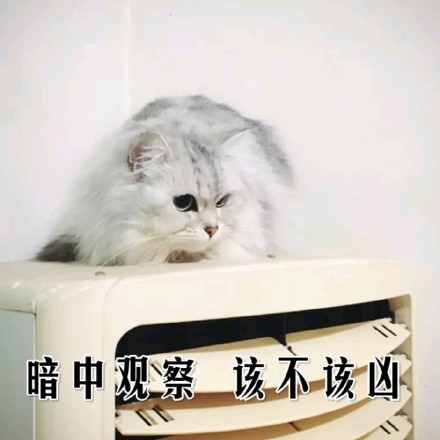 聊天斗图必备！超凶表情包合集整理好了