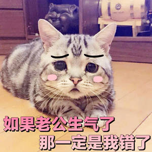 哄老公神器！这套萌系表情包直接拿捏另一半
