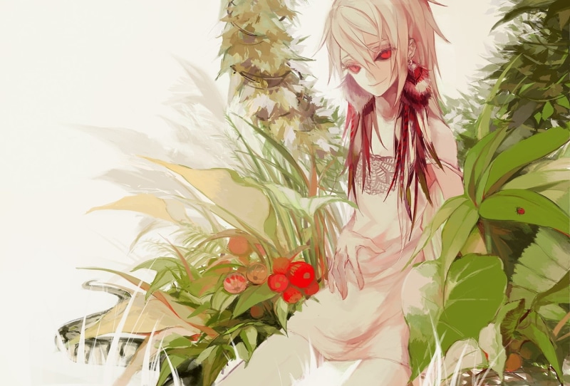 少女与自然生灵的治愈系壁纸合集