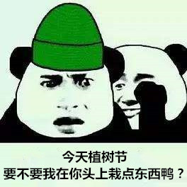 植树节专属表情包合集来啦