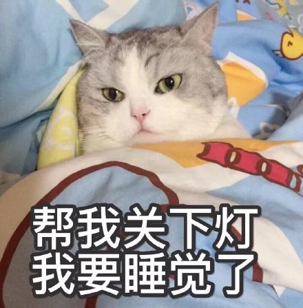 猫咪表情包第五弹来啦！