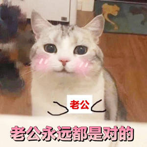 哄老公神器！这套萌系表情包直接拿捏另一半
