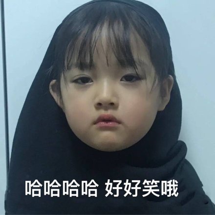 权律二表情包合集来啦