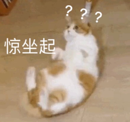 超实用橘猫聊天表情包合集