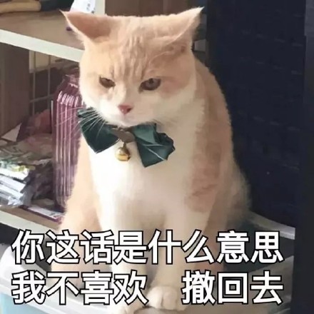 猫咪表情包第五弹来啦！