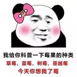 用熊猫头土味情话表情包，撩得人招架不住