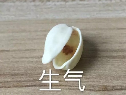 吃开心果配这个表情，简直像在品完一整个人生